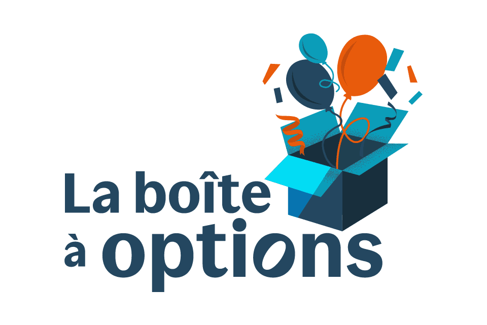 La boîte à options — icône